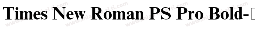 Times New Roman PS Pro Bold字体转换